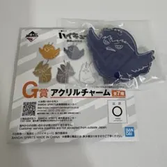 ハイキュー!!　一番くじ　G賞 アクリルチャーム　カゲガラス