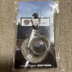 Item thumbnail for item ce4534dc-7de9-4194-8cd3-e356e3ef2850