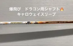 Item thumbnail for item a16c6956-cd28-47e0-ab70-e5449a120b0a