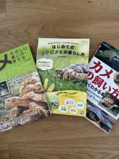 2026年最新】爬虫類飼育セットの人気アイテム - メルカリ