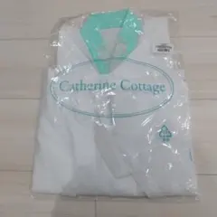 Item thumbnail for item 6d06a684-4204-4635-b11a-cb9a443763ee