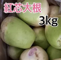 kitty様専用☆辛味大根『おいばね』3L 5kg - メルカリ