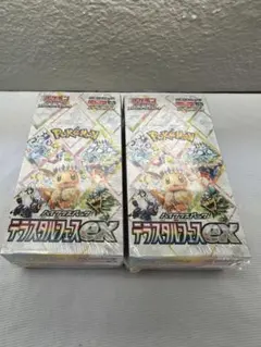 ポケモンカードゲーム テラスタルフェスEX ボックス 2個セット