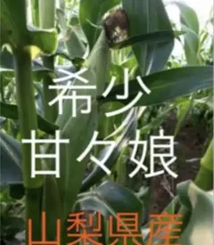 chika様専用になります。