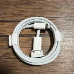 Lightningケーブル Apple iPhone 純正