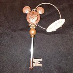 ディズニーランド　キーホルダー　ドリームキー　２５周年　バッグチャーム　ピンク