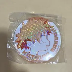 僕のヒーローアカデミア ヒロアカ 爆豪 幼少期 中学 高校 缶バッジ15点セット Amazon.co.jp: 最終??僕のヒーローアカデミア 幼少期缶バッジ 爆