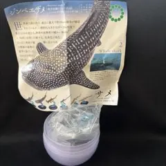 2025年最新】ネイチャーテクニカラー ジンベエザメの人気アイテム