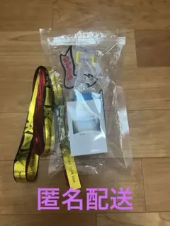 キンプリ 2026ペンライト　銀テおまけつき