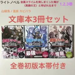金属スライムを倒しまくった俺が〈黒鋼の王〉と呼ばれるまで1.2.3 文庫本3冊