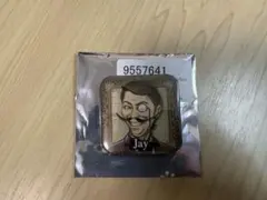 人狼ジャッジメント 缶バッジ DSP版 ダンジョン人狼 ジェイ - メルカリ