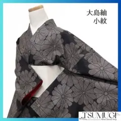 小紋　大島紬　菊花　菊尽くし　黒地　泥染　着物　075a d