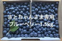ブルーベリー1.5kg クール便のサムネイル