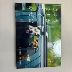 犬のいる風景 谷口智則著