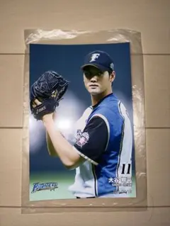 大谷翔平　他　PHOTO 5枚セット日本ハム　FIGHTERS MEMORIAL 大谷翔平 北海道日本ハムファイターズ 公式写真LEGEND SERIES フォト