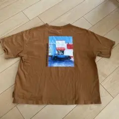 CIAOPANIC TYPY ブラウン Tシャツ L