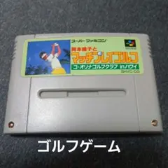 岡本綾子マッチプレイゴルフ SHVC-OG