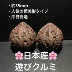 2026年最新】玩玉の人気アイテム - メルカリ