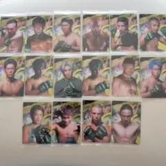 RIZIN ウエハース 2024 選手カードセット(バラ売りも可能です)