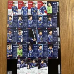 カルビー サッカー日本代表チップス カード まとめ売り