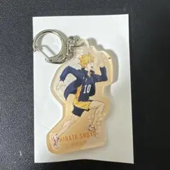 ハイキュー‼︎ 日向翔陽　トレーディングアクリルキーホルダー　書き下ろしビジュアル