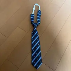 Item thumbnail for item 869d60da-5370-43f1-9d39-a2b872f9e236