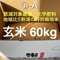 セット販売②-A】特別栽培米コシヒカリ 玄米75kg（梱包込み）※3個口 