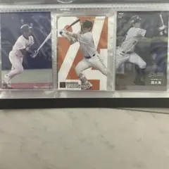 プロ野球選手カードセット