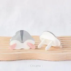 Item thumbnail for item eac21989-e100-414d-8f1b-026b5bf83b99