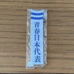 2025年最新】新しい学校のリーダーズ 靴下の人気アイテム - メルカリ