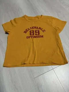 Tシャツ ショート丈 Lサイズ 美品