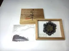 Item thumbnail for item 7368b0d8-a898-4a7d-8a6e-1d4f34d49d30