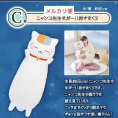 トリビュートギャラリー～時の記憶～ C賞 ニャンコ先生ぬいぐるみ 夏目友人帳 時の記憶 くじ C賞 ニャンコ先生ぬいぐるみ トリビュート