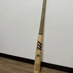 Item thumbnail for item fa08a0fd-d9f7-418a-84f9-b9e362aa6cba