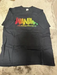 WANIMA EVERYBOEY TOURFINAL Tシャツ Lサイズ