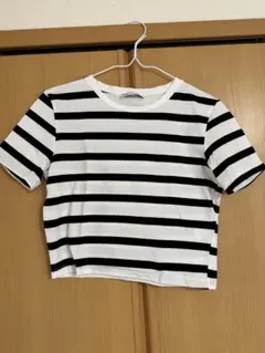 ZARA クロップドTシャツ　ストライプ