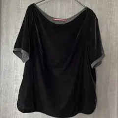 コントワーデコトニエのサムネイル