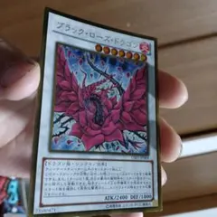 即購入可能➊/39-9 ブラック・ローブ・ドラゴン+他19枚まとめ出品