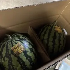 883千葉県産まるあさ大玉スイカ訳あり良品5Lサイズ1箱2玉入り - メルカリ