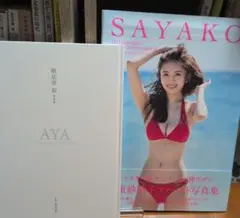 Item thumbnail for item 20c4d3bf-e0f2-41bd-9a53-2deebdaaf1ba