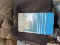 Item thumbnail for item c03a888a-c6cd-4b49-8587-699842e99fdd