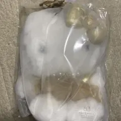 Item thumbnail for item 36c051d3-b18b-4528-9599-b2931fc5b017