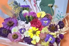 ドライフラワー花材(カジュアル)