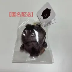 ナガノキャラクターズ カラーなナガノのくまマスコット ダークブラウン
