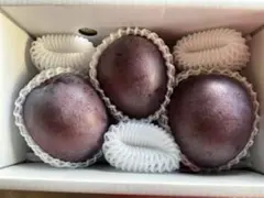 贈答用レッドキーツマンゴー(3玉1.5kg)のサムネイル
