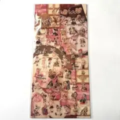 【未開封】nene様 unichoco様 chocolateシリーズ グミシール