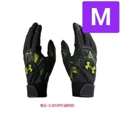 Item thumbnail for item a138cd43-4dd7-4ba1-9da3-25b48aa6ddf4