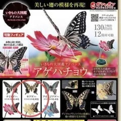 いきもの大図鑑アドバンス