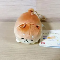 いーすとけん。 しばこっぺ マスコット ぬいぐるみ