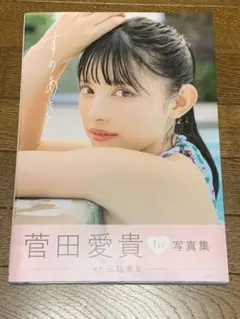 グラビア タレント写真集